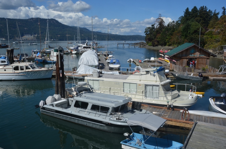 harbor scene